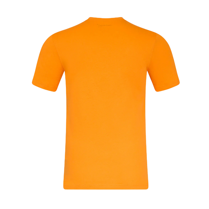 Playera Arrow McLaren IndyCar Espalda